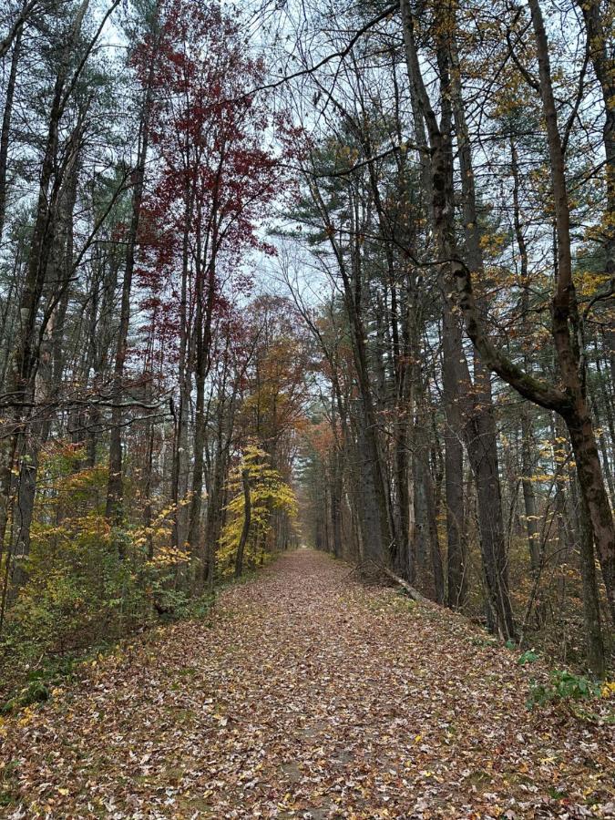 Escape To A Streamside Cabin In The Lower Catskills Wurtsboro Buitenkant foto
