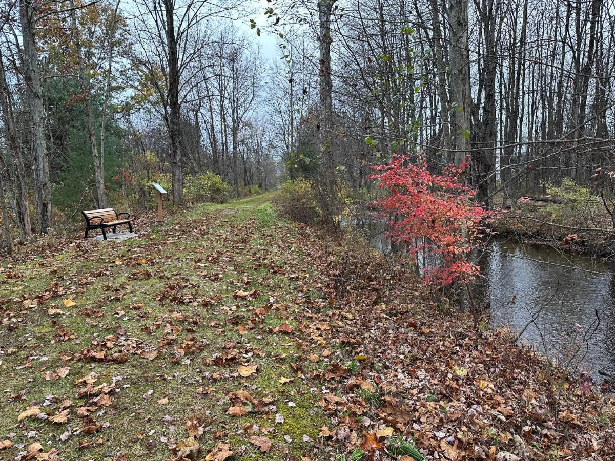 Escape To A Streamside Cabin In The Lower Catskills Wurtsboro Buitenkant foto